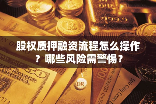 武汉股权质押融资流程怎么操作？哪些风险需警惕？
