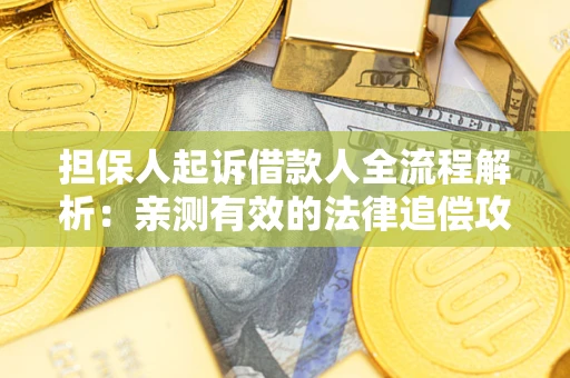 武汉担保人起诉借款人全流程解析：亲测有效的法律追偿攻略