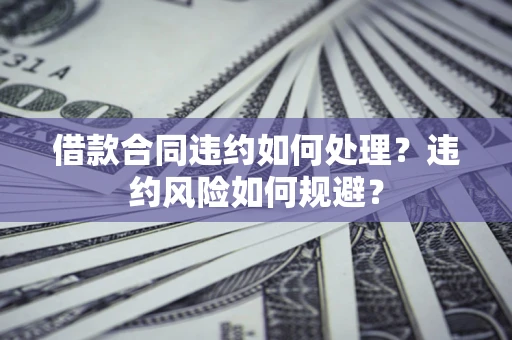 武汉借款合同违约如何处理？违约风险如何规避？