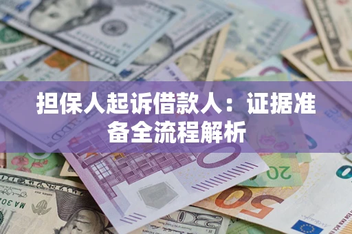 武汉担保人起诉借款人：证据准备全流程解析