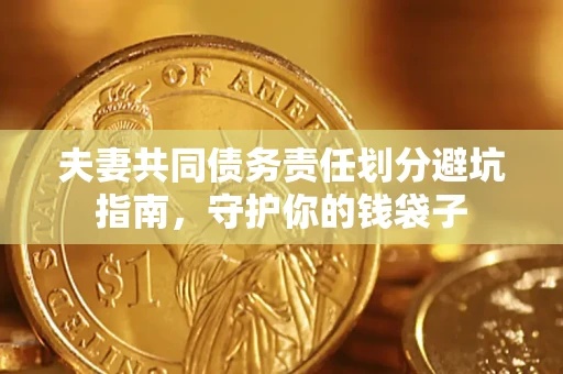 武汉夫妻共同债务责任划分避坑指南，守护你的钱袋子