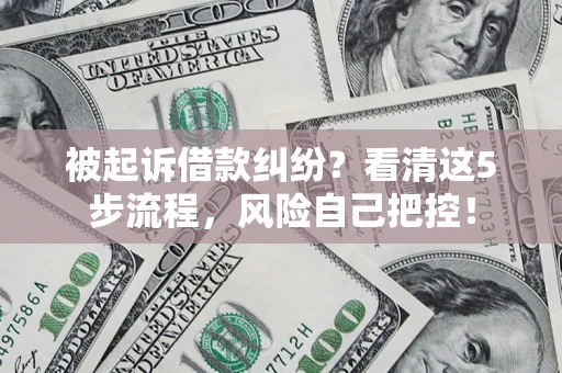 武汉被起诉借款纠纷？看清这5步流程，风险自己把控！