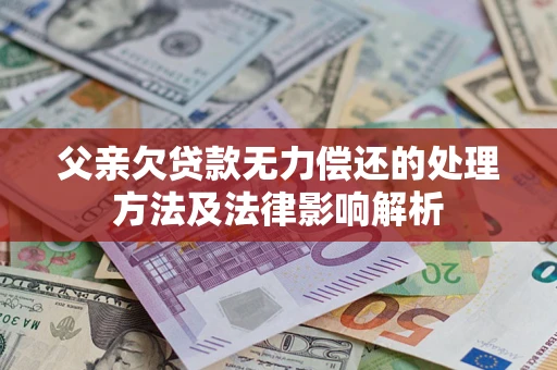 武汉父亲欠贷款无力偿还的处理方法及法律影响解析